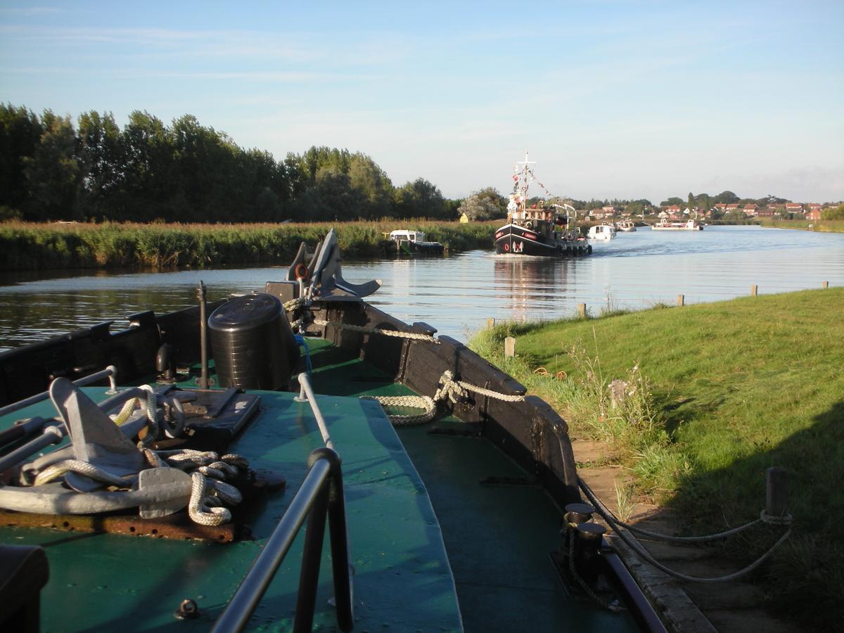 The Cockatrice B&B Reedham Extérieur photo